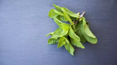 garnishing-instructions-image